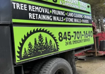 Tree Service